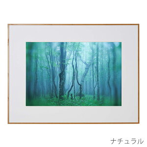 󔭒i PR[EgLi[ A~z M[ A3mr AGY-A3N Ǌ| tHgt[ z