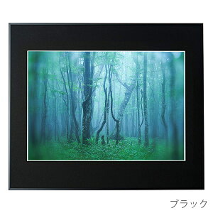 󔭒i PR[EgLi[ A~z M[ A2 AGY-A2 Ǌ| tHgt[ z