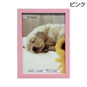 C^ ai FRAME OAt[ A4 󔭒i z Ǌ| u^ sN uE i` zCg