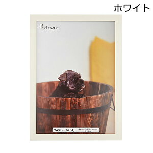 C^ ai FRAME OAt[ B4 󔭒i z Ǌ| sN uE i` zCg