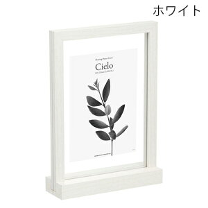 t[eBO tHgt[ Cielo(VG) 160×232mm L/|XgJ[h/2L FWFCL nNo 󔭒i AN  NA ʐ^ tHgX^h fBXvC 