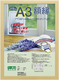 受発注商品 ナカバヤシ 樹脂製 賞状額 木地 JIS A3判 フ-KWP-60 賞状 額縁