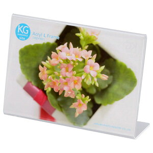 nNo ANLt[ KGTCY 1 R FACL-KGY KG ͂ nKL ʐ^ tHgt[ L