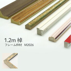 楽天市場 フレーム 枠のみの通販