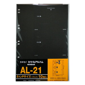 󔭒i ZLZC [p֑䎆 EELEpm}TCYp 10 10 䎆 AL-21-60