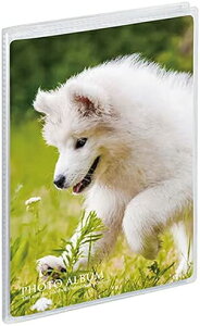 ~j|P tHgAo  KGTCY c nKLE|XgJ[h 154×104mm 20[ KP-7005 ZLZC |PbgAo ʐ^  [ NA Vv sekisei