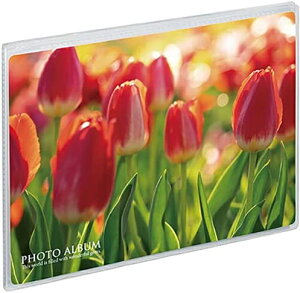 ~j|P tHgAo  2LTCY  129×180mm 20[ KP-7008 ZLZC |PbgAo ʐ^  [ NA Vv sekisei