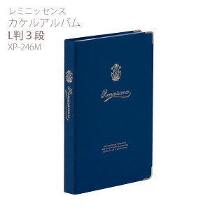 ZLZC ~jbZX JPAo L3i u[ XP-246M-10