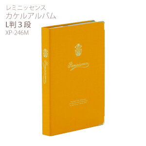 ZLZC ~jbZX JPAo L3i CG[ XP-246M-50