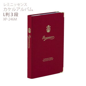 ZLZC ~jbZX JPAo L3i bh XP-246M-20