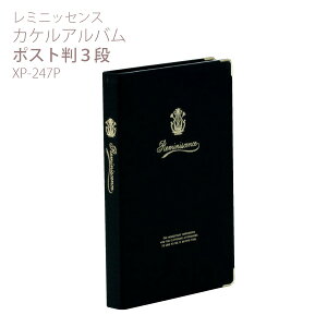 ~jbZX JPAo |Xg 3i ubN XP-247P ZLZC 󔭒i |PbgAo KG ͂