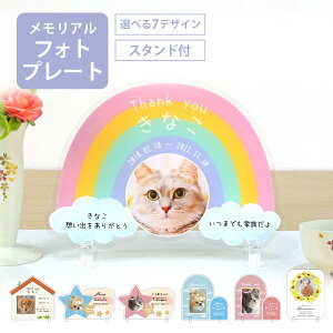   ANv[g ybg X^hty䂤pPbg |Xgz { ʔv ̋ RpNg IWi I[_[ Av[g ʐ^ tHgv[g AN