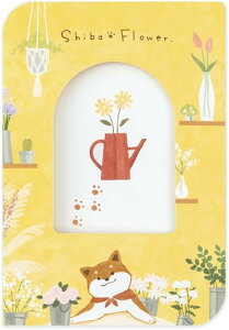 iJoV tHgX^hJ[h `FL ˂///P[L PSTC-CK-101 󔭒i  ʐ^ Mtg bZ[WJ[h 킢 instax mini