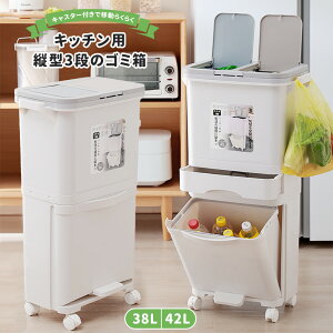 yP5{ 500 OFFzS~ t^t Ci[S~ 38L 42L e X ȃXy[X ot LX^[t ړȒP ܂Ȃ   Lb` ʏ rO Q gC 