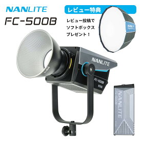 【20倍ポイント】撮影用ライト LED NANLITE FC-500B バイカラー 520W ケース付き 撮影用ライト 高出力 定常光ライト スタジオライト 映像制作 CM制作 ポートレートライト 物撮り 撮影用ライト スタジオ用 照明 撮影用ライト 撮影用照明 撮影用ライト 人物 撮影用照明
