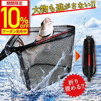 楽天市場】渓流 タモ（魚種カツオ）の通販