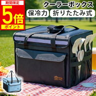 【ポイント5倍！期間限定】クーラーバック 折りたたみ 小型 クーラーボックス 保冷バック 氷 小型 大型 …
