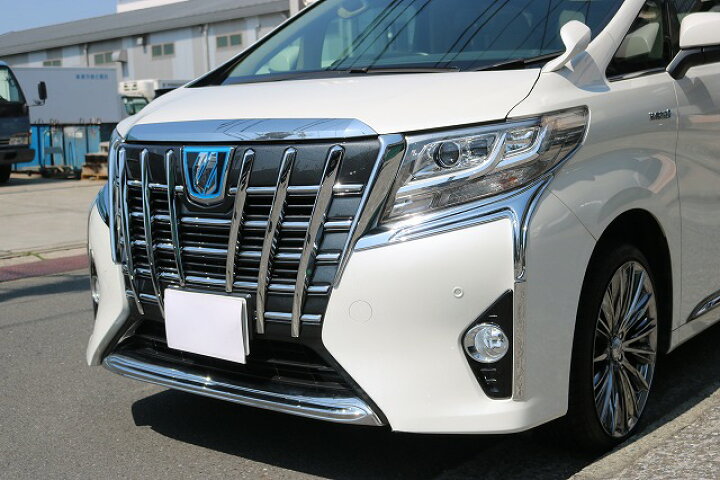 楽天市場】トヨタ30系アルファード前期用フロントバンパーガーニッシュ 
