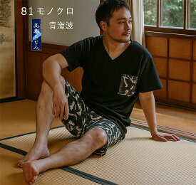 綿100％ 高島ちぢみ パジャマ メンズ 日本製 夏 半袖シャツ ポケット付き ステテコ ハーフパンツ 上下セット 父の日ギフト ルームウエア 部屋着 上下組 半袖
