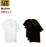 3枚セット GT ホーキンス 綿100％ インナーシャツ Tシャツ メンズ コットン HK15133 tシャツ 父の日ギフ…