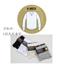 https://image.rakuten.co.jp/vantann/cabinet/hanes/imgrc0073026614.jpg