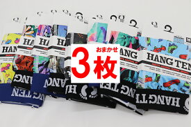 HANG TEN (ハンテン) ボクサーパンツ 3枚セット 下着 メンズインナー福袋 ストレッチ 前とじ ポリエステル ボクサー セット