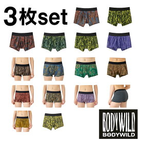 【3枚セット】グンゼ ボクサーパンツ メンズ ストレッチ 福袋 ボディワイルド 色柄おまかせ 3枚組 インナー 下着