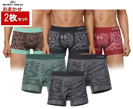 日本製 3D成型 ボクサーパンツ 福袋 2枚セット グンゼ 前とじ メンズ ボクサーパンツ BODY WILD ボディワイルド) 福袋 色柄おまかせ 2枚組