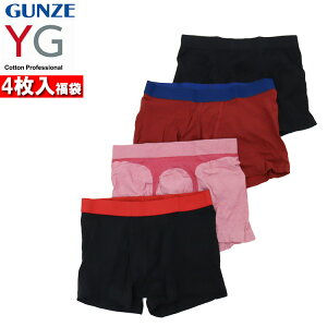 y4ZbgzO[ YG {NT[pc  GUNZE A_[EGA   Y jp V z Ci[