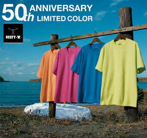 Hanes �w�C���Y �r�[�t�B�[ 50���N t�V���c �r�[�t�B�[beefy ����t�V���c �r�[�t�B ���n ���� ��100 H5180 �w�C���Y�r�[�t�B�[ �y���ʌ���z50���N�L�O����J���[