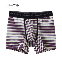 2点購入で送料無料/グンゼBODYWILD(ボディワイルド)ボーダー柄/メンズ/前開き/ボクサーパンツ(コットンストレッチ)ボクサーブリーフ/BWE195J