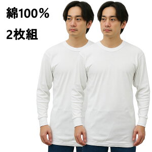 y2gzVh 100  tCX҂ TVc  ێ  Y t H ~ t Ci[ EGA