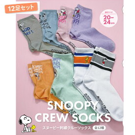 【12足セット 福袋】スヌーピー 刺繍入り ソックス グッズ 婦人 子供 スヌーピーソックス キャラクター かわいい 20-24センチ