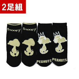 y2gzXk[s[ \bNX Y LN^[ ObY Mtg v[g o^C l  jp C Zbg 1000~|bL 