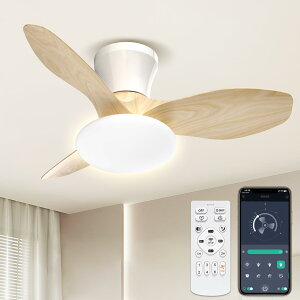 SUKITEN �V�[�����O�t�@�����C�g led 52W �t�@���t���Ɩ� �V���@ 4,500lm 150W���� 7~10�� ��80cm ���K�i���F���� DC���[�^�[ ���t��] �ߓd���[�h ����6�i�K���� �����F �����F �d���F ������/�^�C