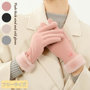 yVzO[u  Ԃ ~g fB[X lHr h h ] oCN ނ ObY hO[u ۉ ʋ AEghA oR Mtg tt  S4F i 