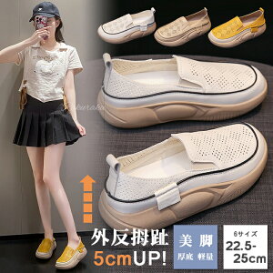 yZ[zEhgD胍[t@[ JWAV[Y fB[X 5cm Od ₷ lԍHw [t@[ y ~ r ʋCK L ʋC ꃍ[