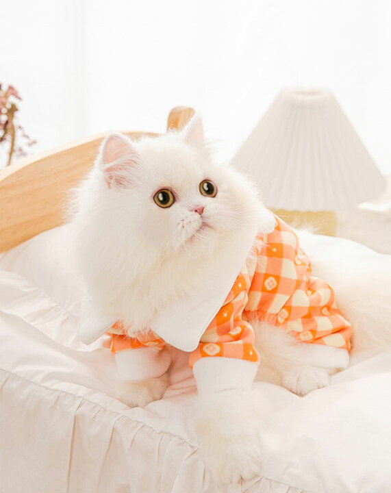 ペットの服 猫 面白い 可愛い コスチューム 猫服 撮影道具 通気性 ネコ 柔らかい 冬用 キャット 犬 写真 ドッグウェア