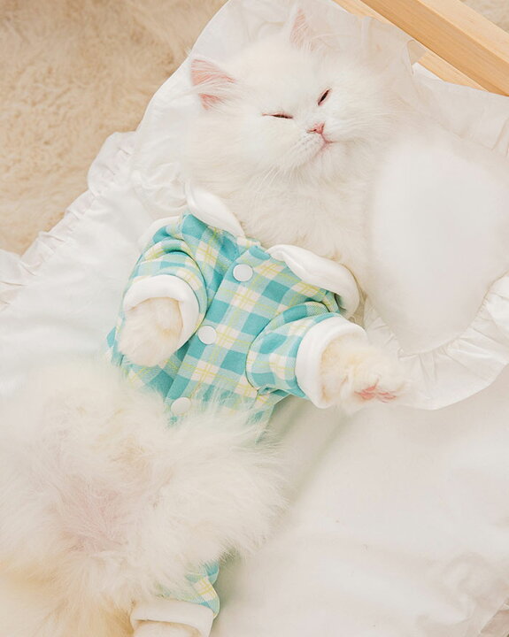 市場 ペットの服 柔らかい ドッグウェア キャット 可愛い 冬用 コスチューム 猫服 面白い 写真 撮影道具 猫 通気性 犬 ネコ 格子縞