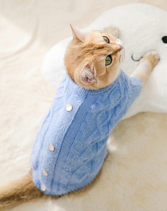 ペットの服 猫 通気性 写真 柔らかい コスチューム 面白い 可愛い 犬 猫服 ネコ
