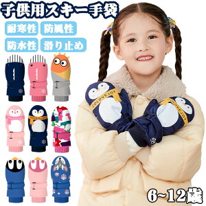 Xm[O[u XL[O[u q LbY  V NяH~ LbY  h h ۉ  XL[  ĂԂ O[u w  j̎q ̎q ʉ ʊw ] o