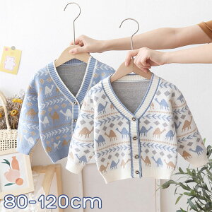 J[fBK LbY ̎q j̎q  HD ̎q ʉ ʊw ̎q LbY q qǂ t H ~80 90 100cm 110cm 120cm