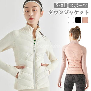 _EWPbg fB[X V[g _EWPbg EgCg Ci[ _E WPbg    _E Ci[  y g h  H~ X|[c A