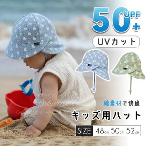 Xq LbY St 悯 52 xr[ q t  S R UVJbg nbg xr[ ėp ̎q 52Z` C SЂ w 48Z` 50 oPbgnbg  qǂ ۈ牀 Εt j̎q T