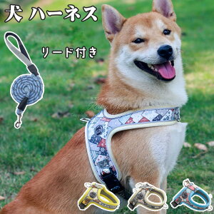 ySSE56%OFFz n[lX ^ ^ ĝɗD  ȒP ˍޕt 킢  ^ ʋC悭Sn悢 ͂h~ Cyɏo Eh~fUC 