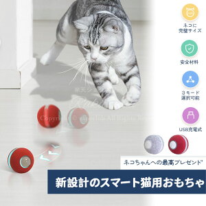 ybg  L L ߋ  L炵 d X|[cJ[ L{[ L Lߋ 3[h\ Type-C[d t VRf lV ^s΍ XgX