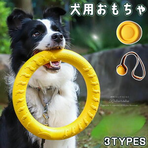 ybgp  p ybgp  O  p v  ނ Oa19CM 29CM  ^ ^ ϋv tBbglXO ybg XgX VP m\