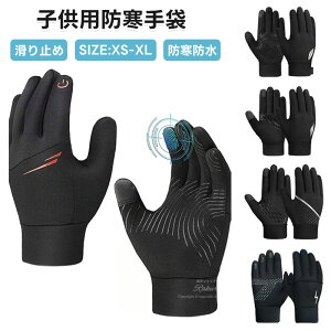 �h����� �q�� �L�b�Y �X�L�[��� �h����� ����~�� �L�b�Y �j�̎q ���̎q ���N�� ���t���[�X ��� �X�|�[�c�O���[�u �q���p �h�� �h�� ��� �T�b�J�[ ��� �W���j�A �ʊw �ۉ� ���]�ԃO���[