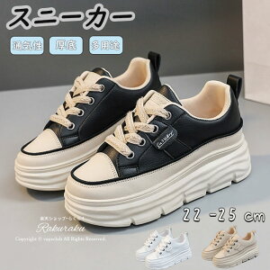 Xj[J[ fB[X 6cm V[Y _bhXj[J[ x[W zCg ubN 6cm gAbv ؍ EH[LOV[Y Xj[J[ y ₷ Ȃ C h 