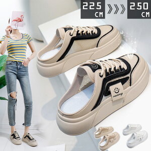 Xj[J[ fB[X 4cm V[Y _bhXj[J[ x[W zCg ubN 4cm gAbv ؍ EH[LOV[Y Xj[J[ y ₷ Ȃ C h 